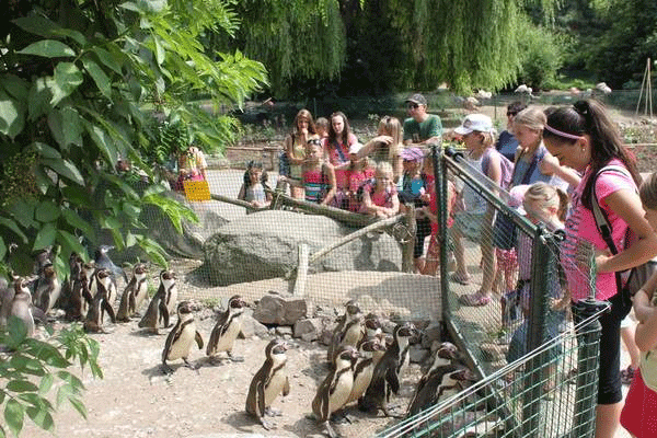 Výlet s překvapením aneb odměna na závěr sezony - 20. 6. 2012